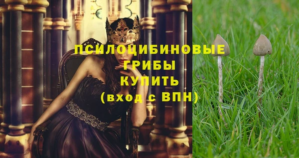 Альфа ПВП Алексин