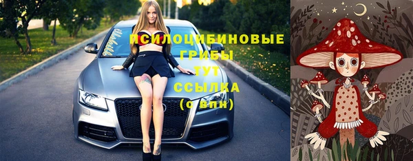 стафф Абинск